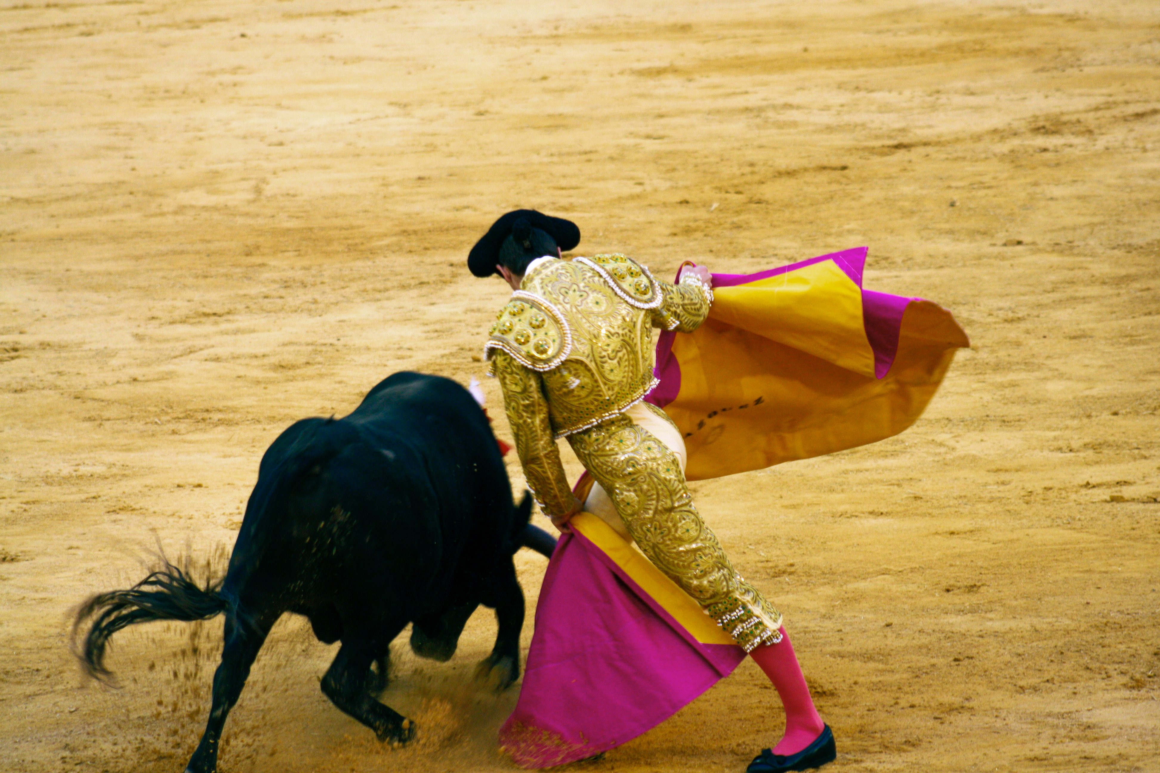 Bull fighter dodging