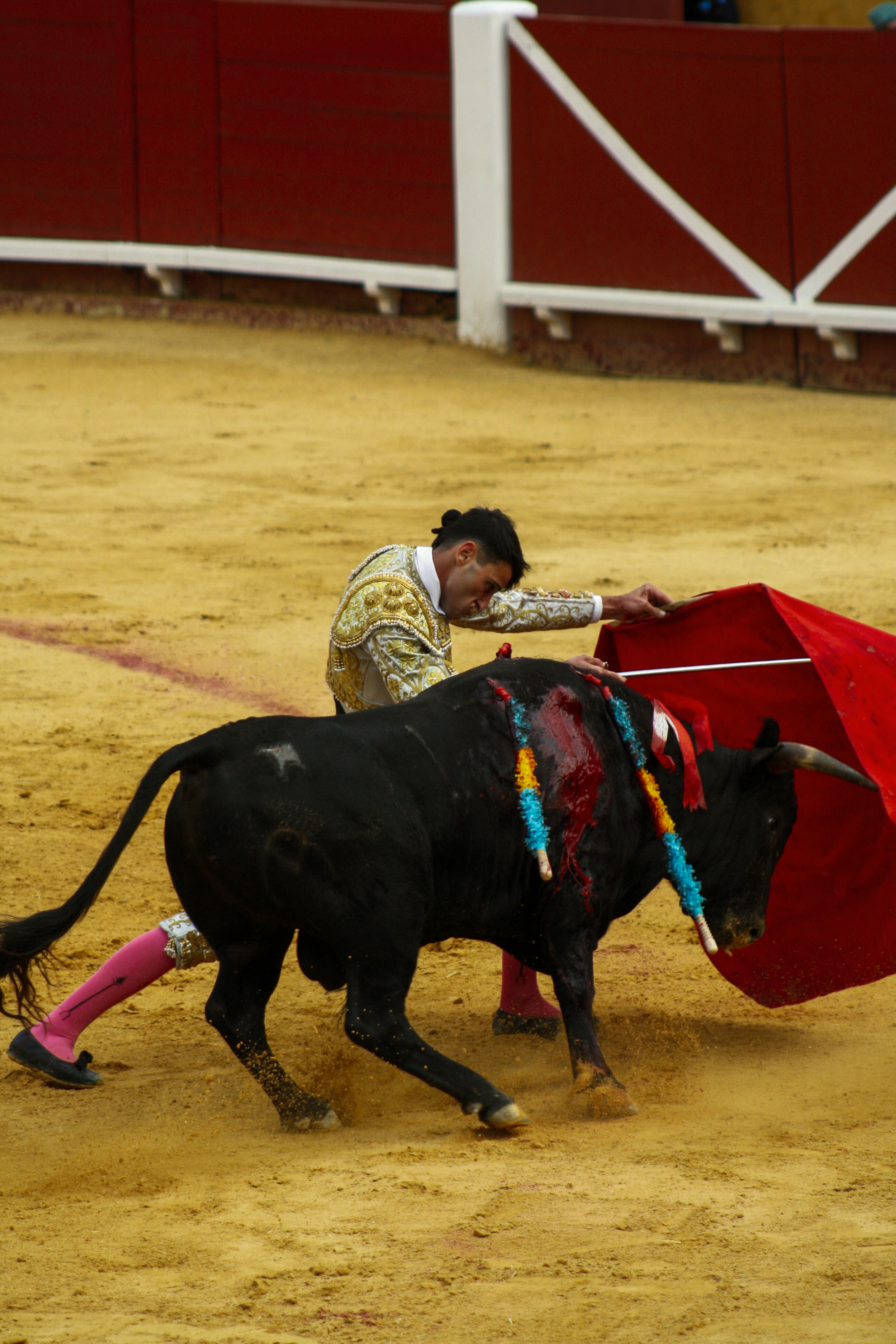 Leading charging bull