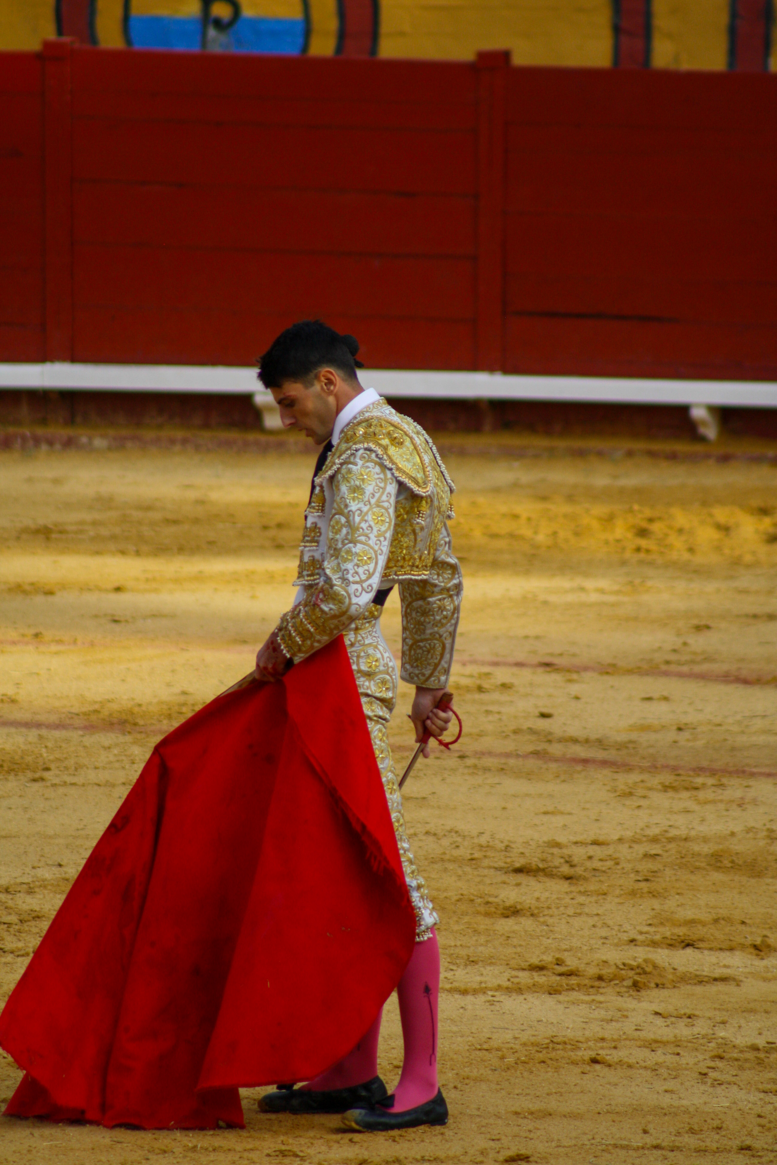 Standing bull fighter